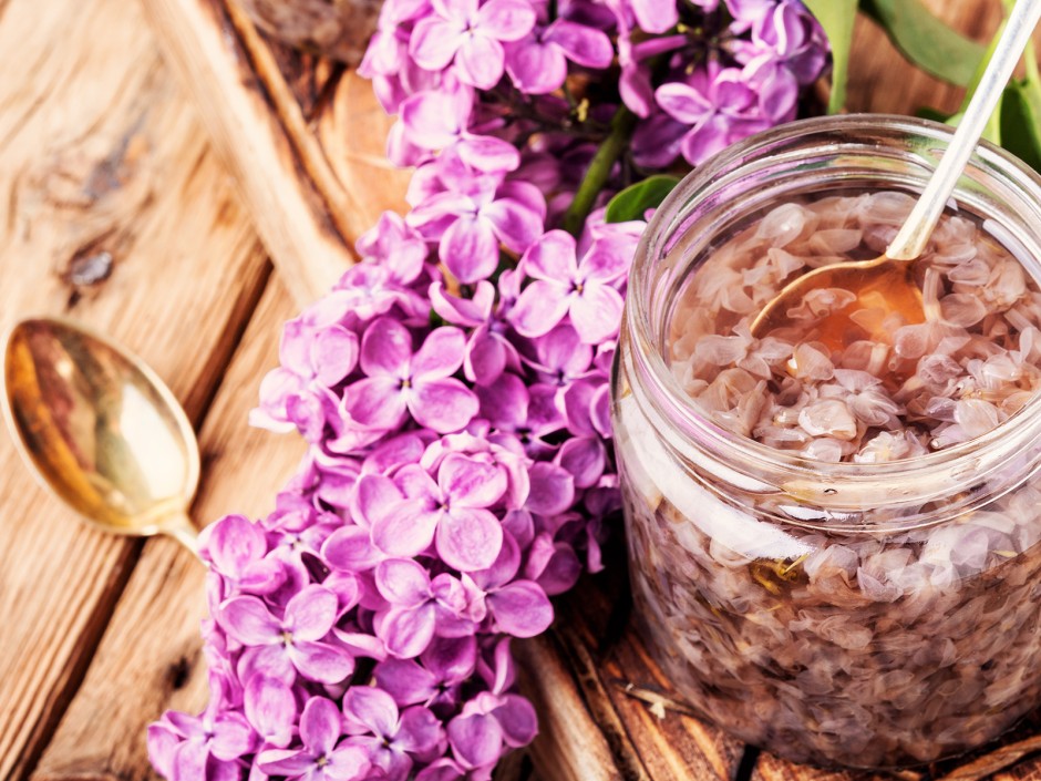 Fliederblüten, duftende Köstlichkeiten aus Omas Garten
