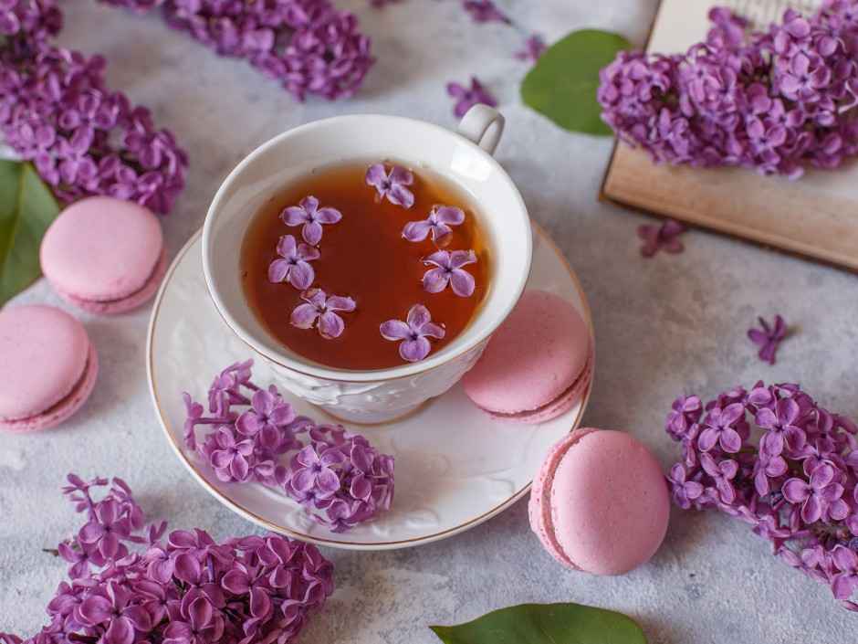 Fliederblüten, duftende Köstlichkeiten aus Omas Garten