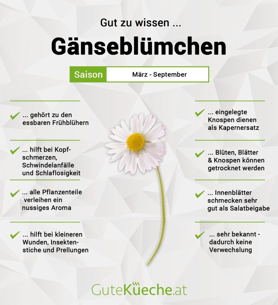 Gänseblümchen