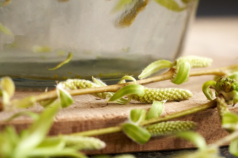 Weidenwasser, natürliche Bewurzlungshilfe
