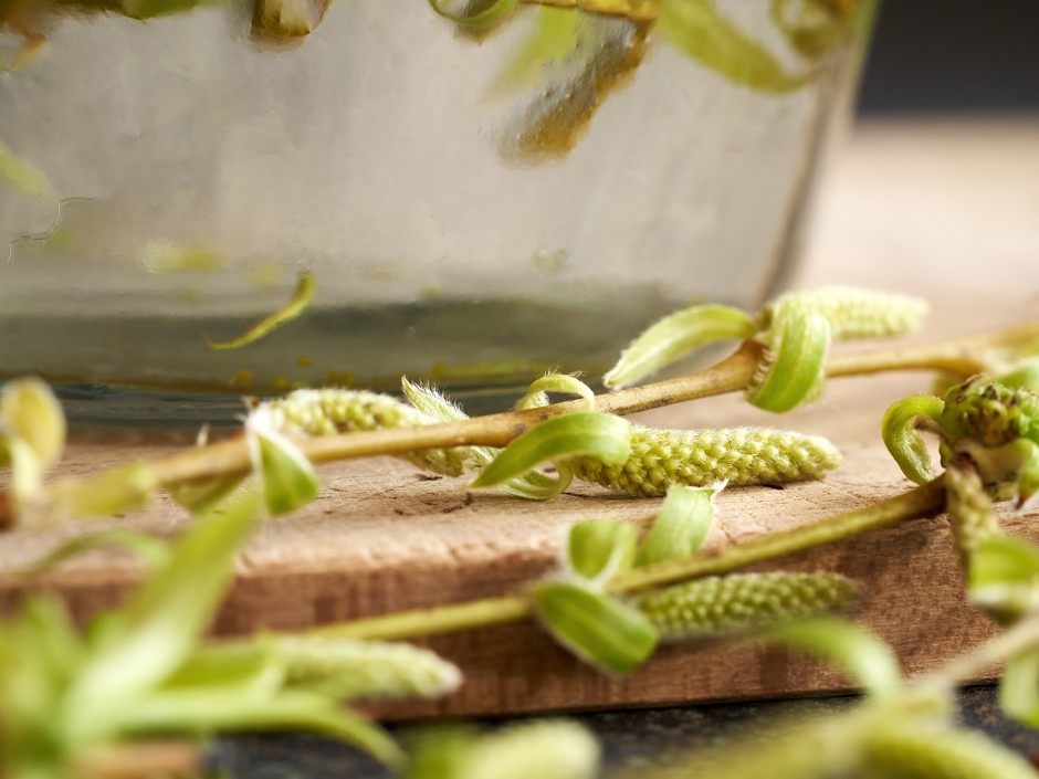 Weidenwasser, natürliche Bewurzlungshilfe