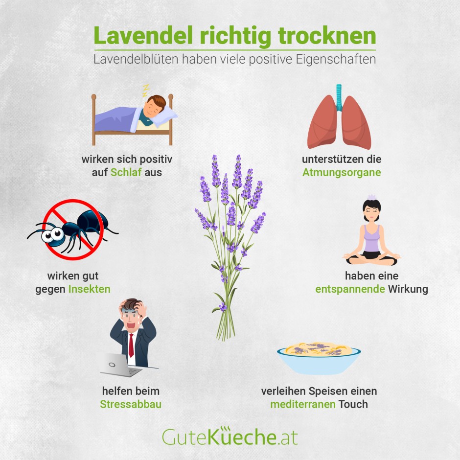 Lavendel richtig trocknen