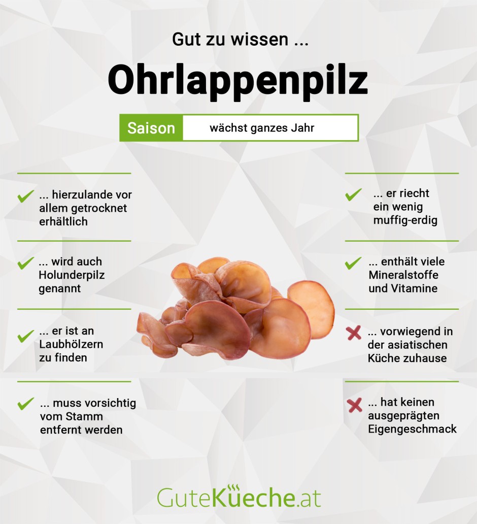 Ohrlappenpilz