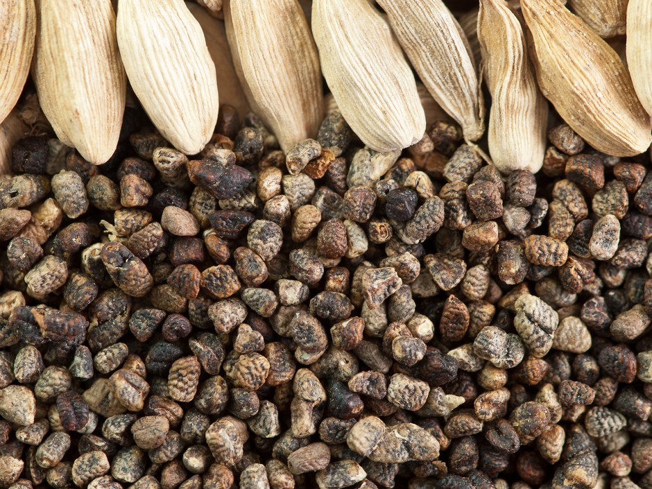 Cardamom (=Kardamom)