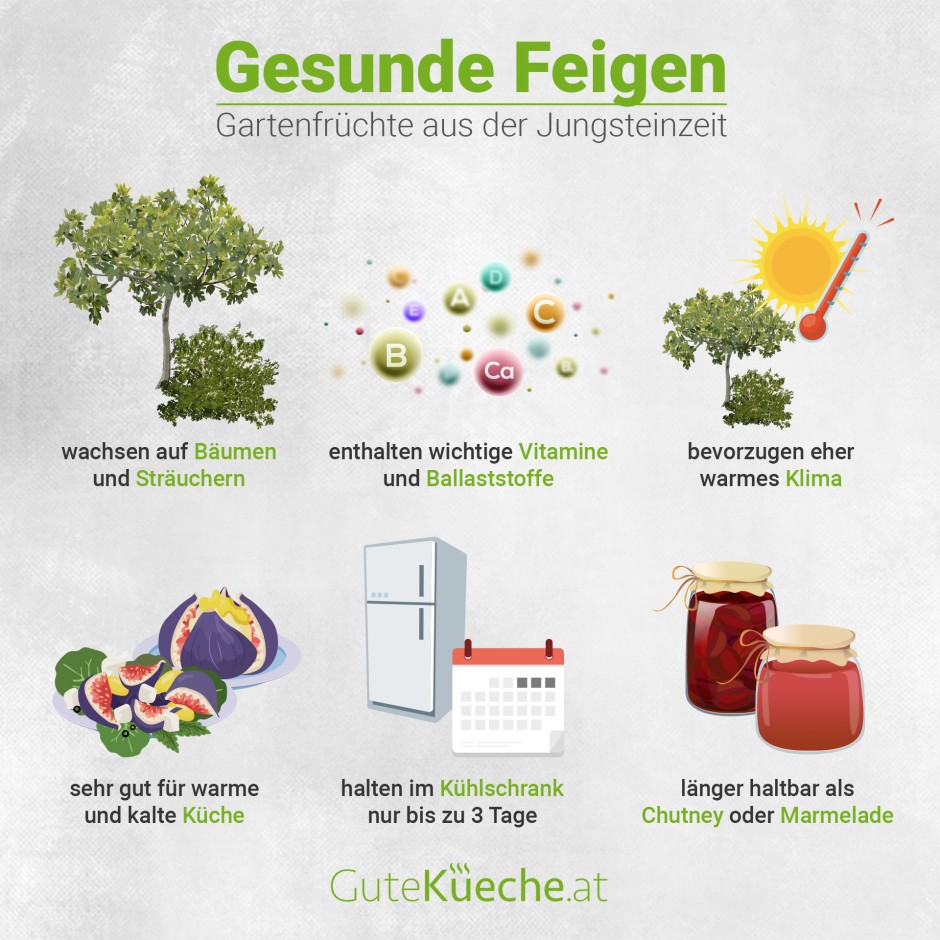 Feigen, gesunde Gartenfrüchte aus der Jungsteinzeit