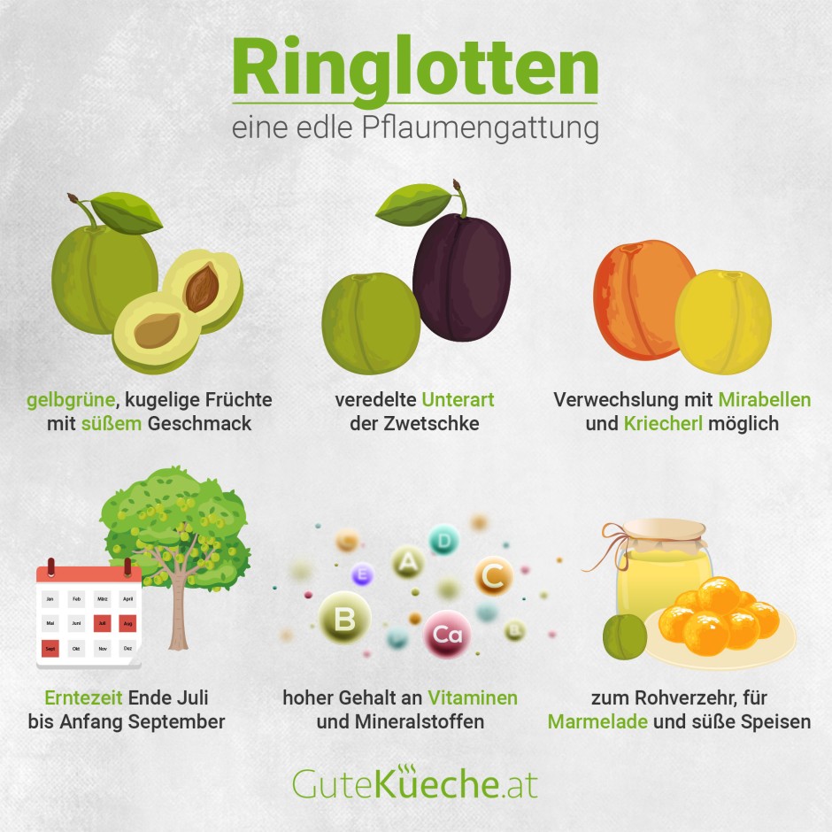 Ringlotten, eine edle Pflaumengattung