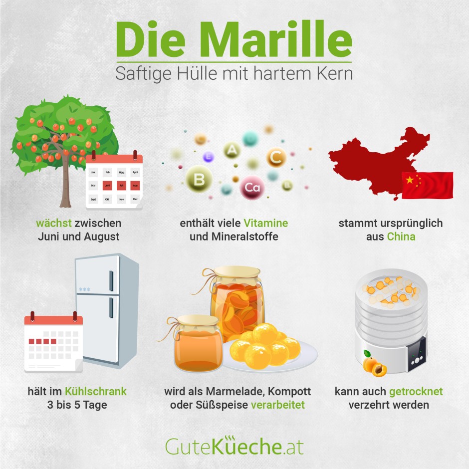 Marille - saftige Hülle mit hartem Kern
