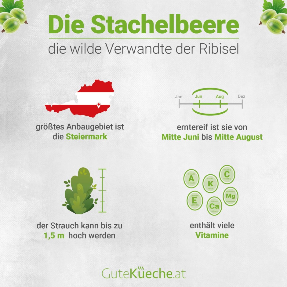 Stachelbeere, die wilde Verwandte der Ribisel