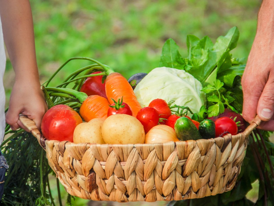 Was ist gesunde Ernährung