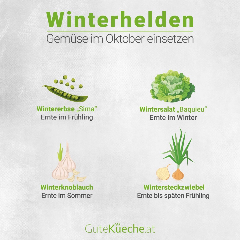 Winterhelden, Gemüse einsetzen im Oktober