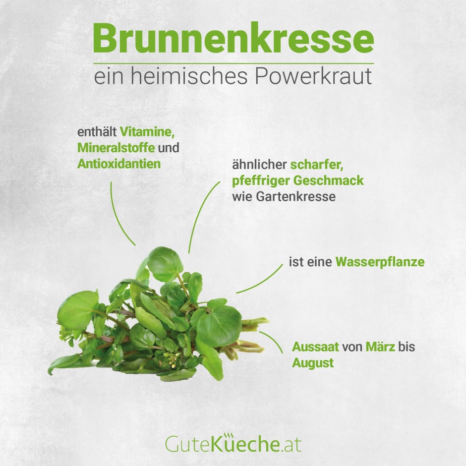 Brunnenkresse, ein heimisches Powerkraut