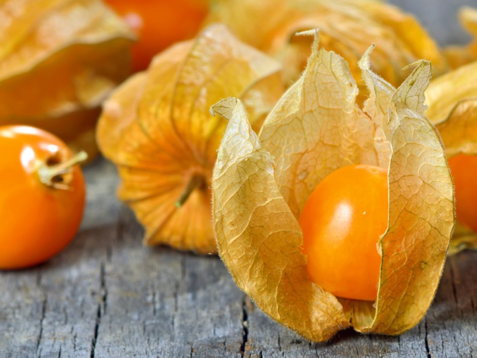 Wie isst man eine Physalis?