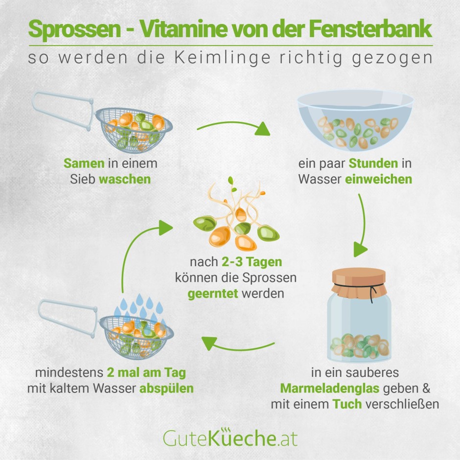 Sprossen - Vitamine von der Fensterbank