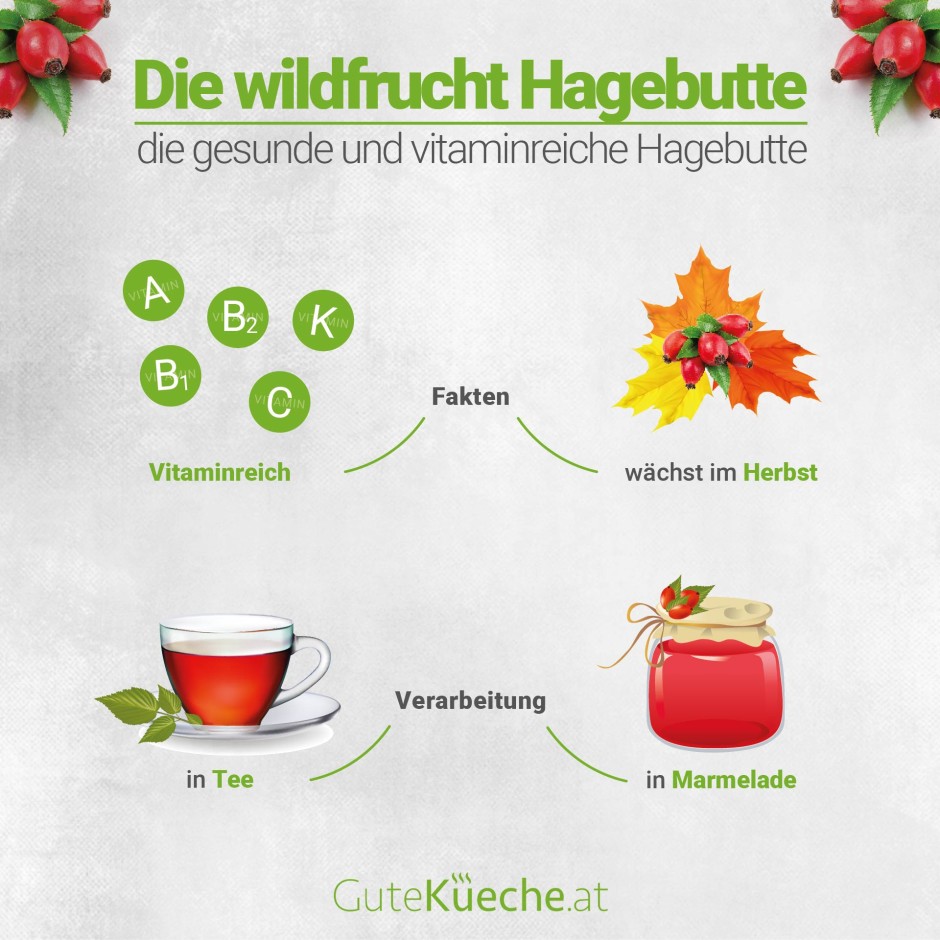 Die Wildfrucht Hagebutte