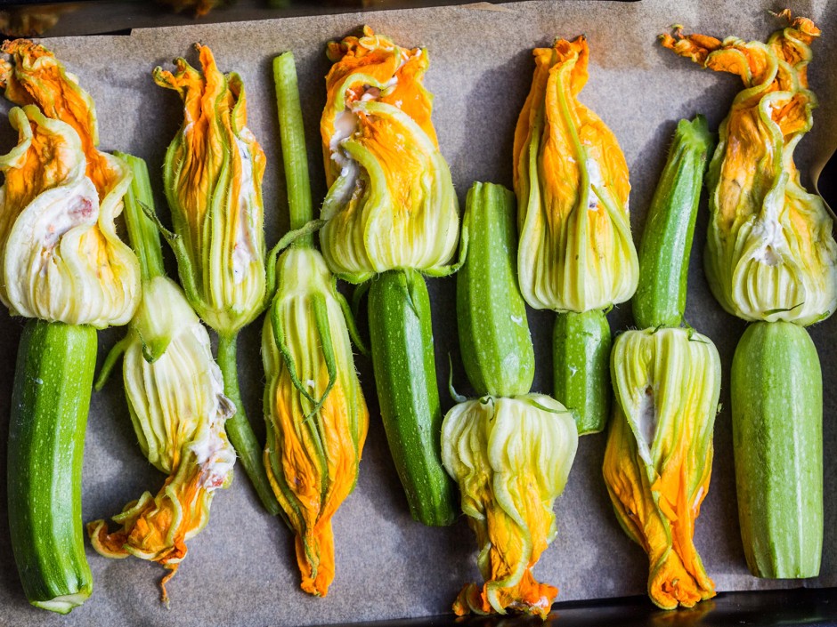 Zucchini