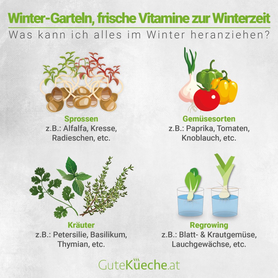 Winter-Garteln - Frische Vitamine zur Winterszeit