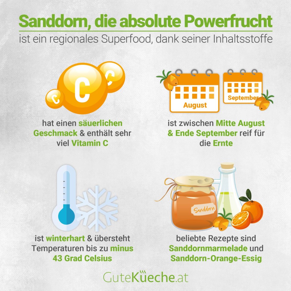 Sanddorn, die absolute Powerfrucht