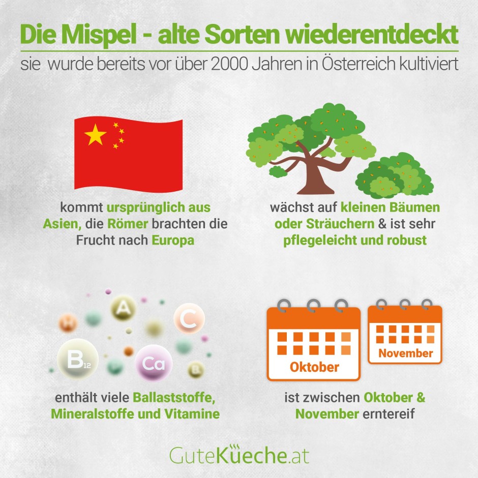 Die Mispel - Alte Sorten wiederentdeckt