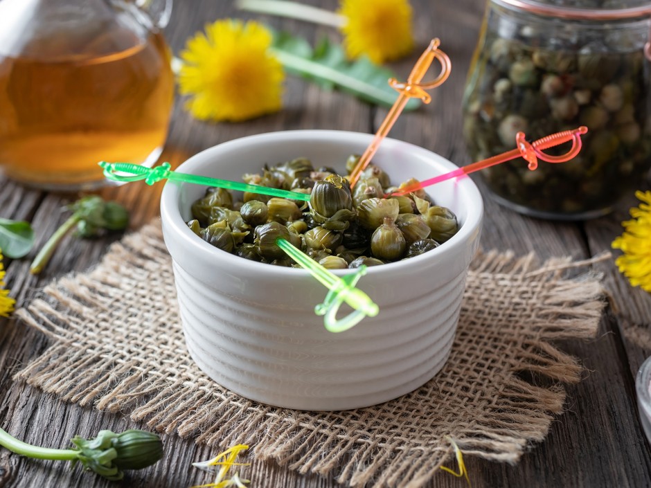 Falsche Kapern, eine nachhaltige Alternative