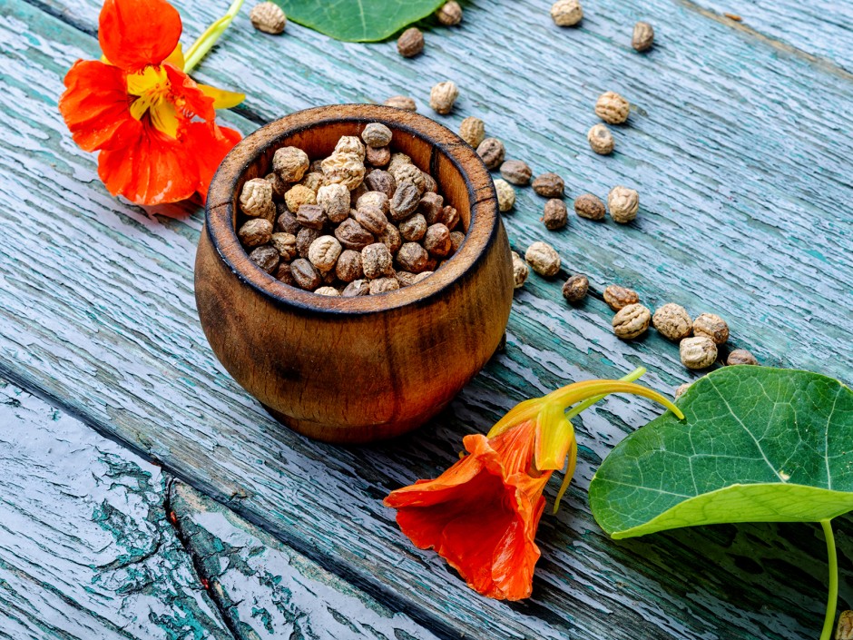 Falsche Kapern, eine nachhaltige Alternative