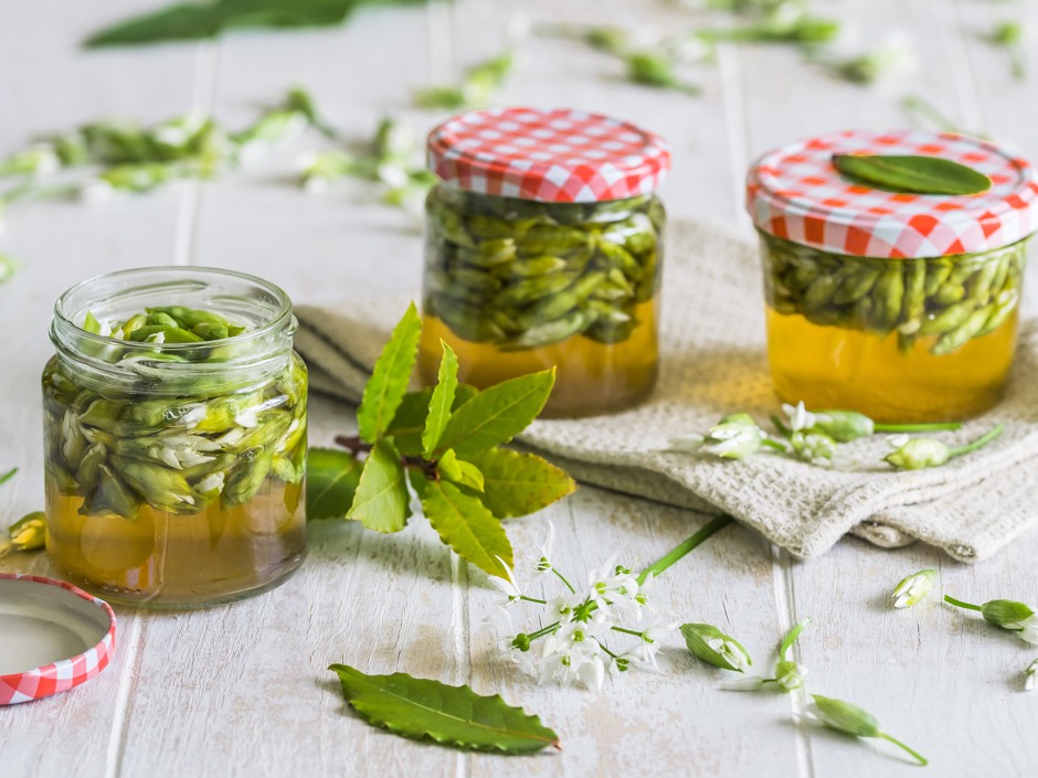 Falsche Kapern, eine nachhaltige Alternative