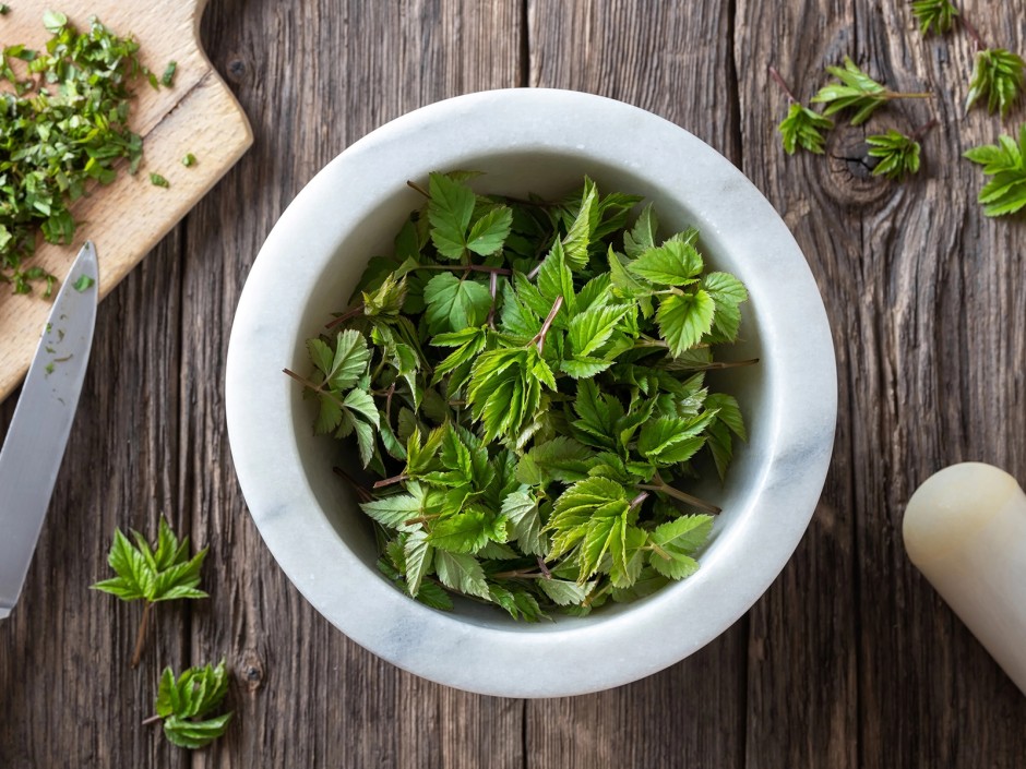 Giersch, iss auf was du nicht bekämpfen kannst