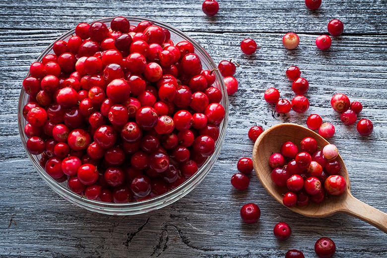 Cranberry, die amerikanische Verwandte der Heidelbeere