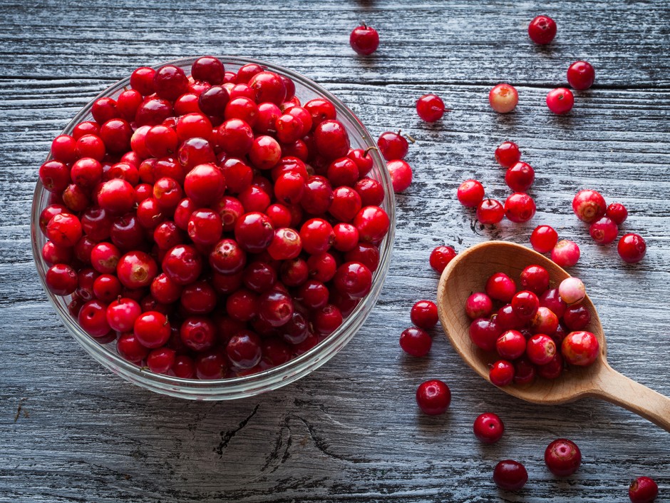 Cranberry, die amerikanische Verwandte der Heidelbeere