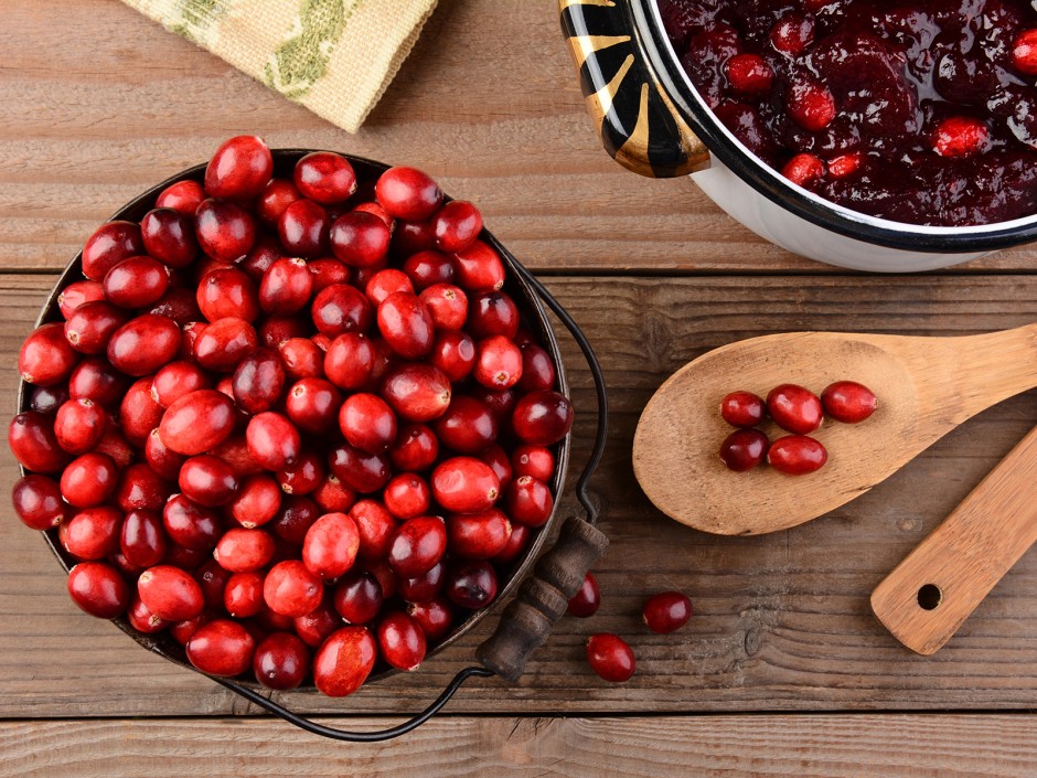 Cranberry, die amerikanische Verwandte der Heidelbeere