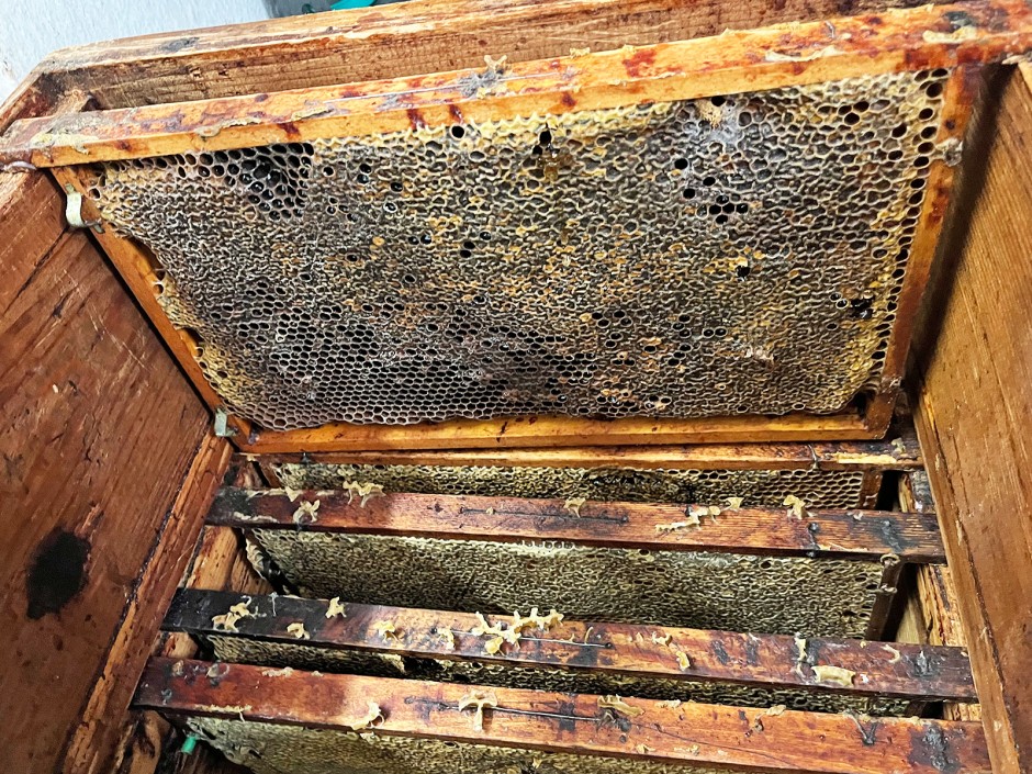 Bienenhonig Herstellung