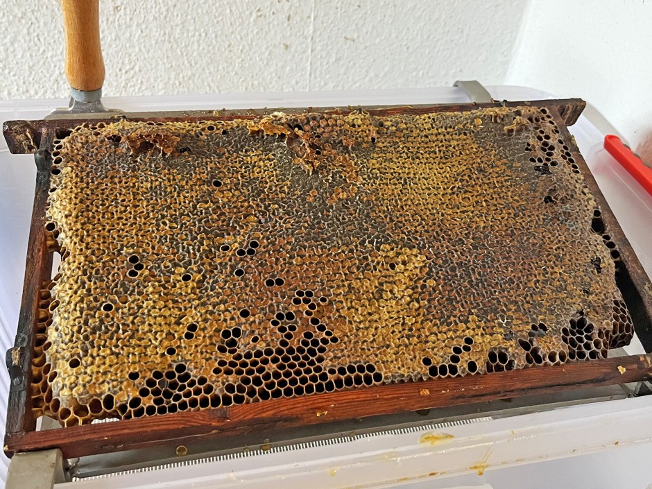 Bienenhonig Herstellung