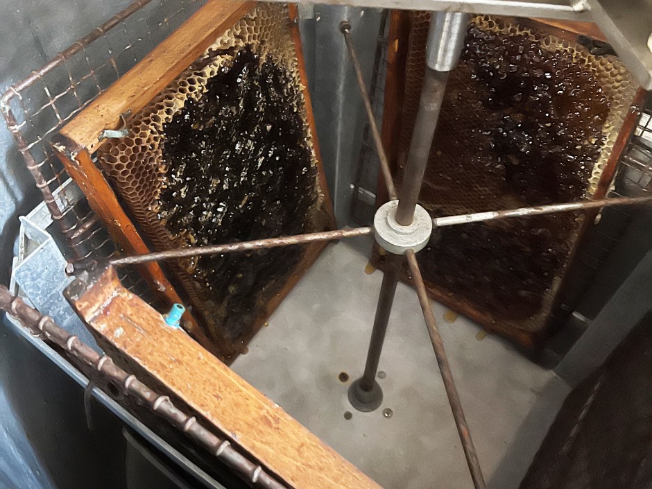 Bienenhonig Herstellung