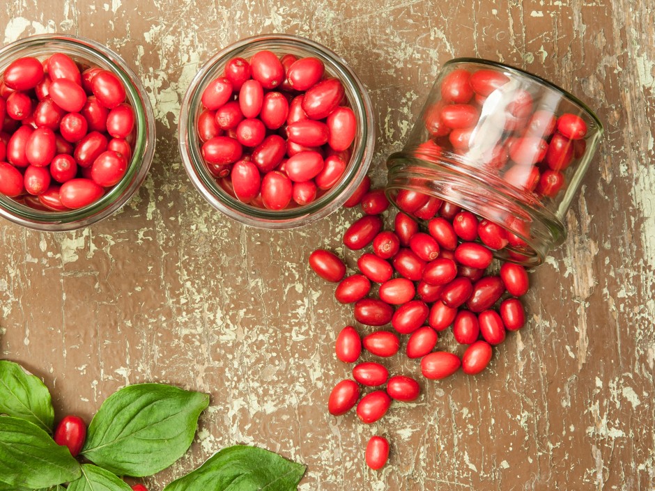 Heimisches Wildobst & Wildbeeren wiederentdeckt