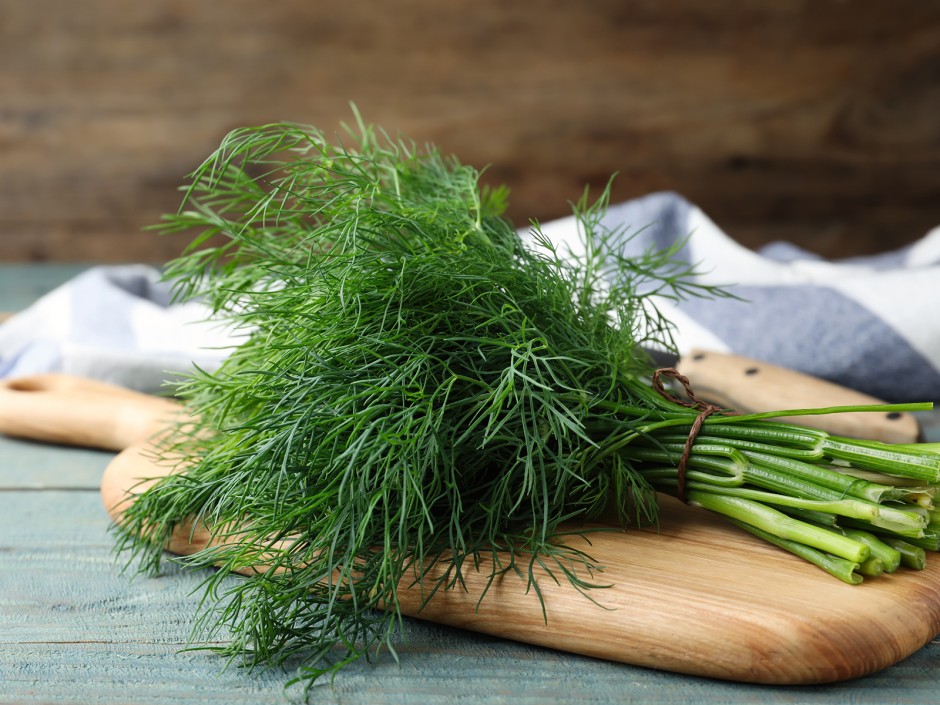 Dill