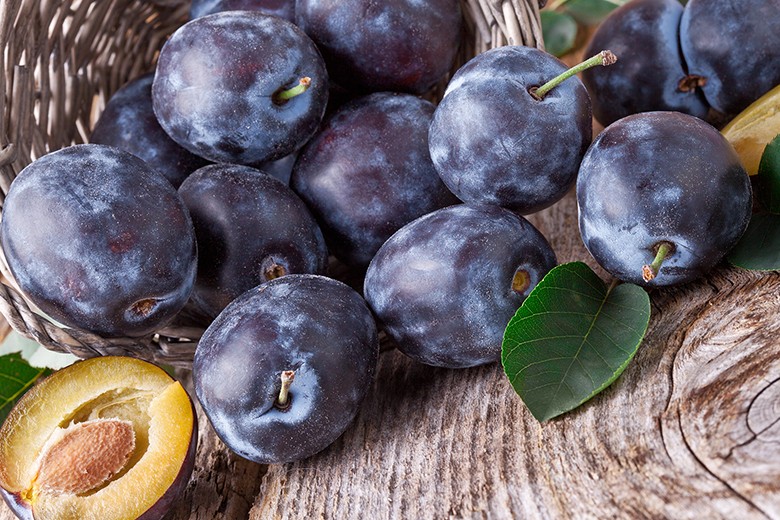 Die Zwetschke, eine beliebte Frucht mit Tradition
