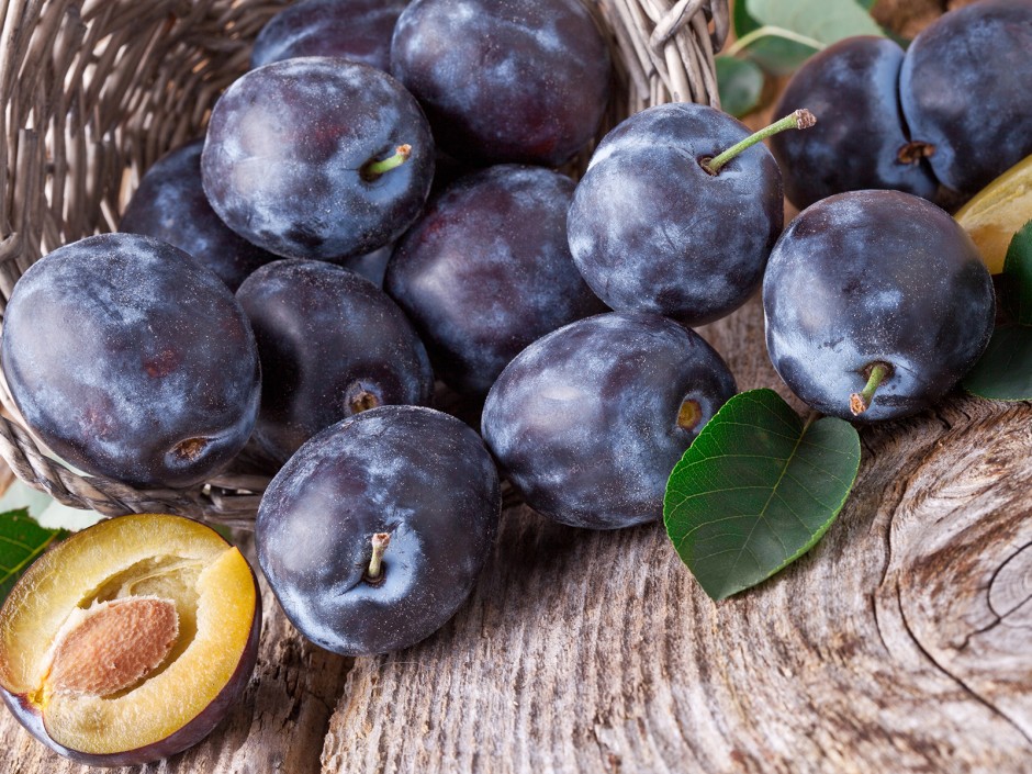 Die Zwetschke, eine beliebte Frucht mit Tradition
