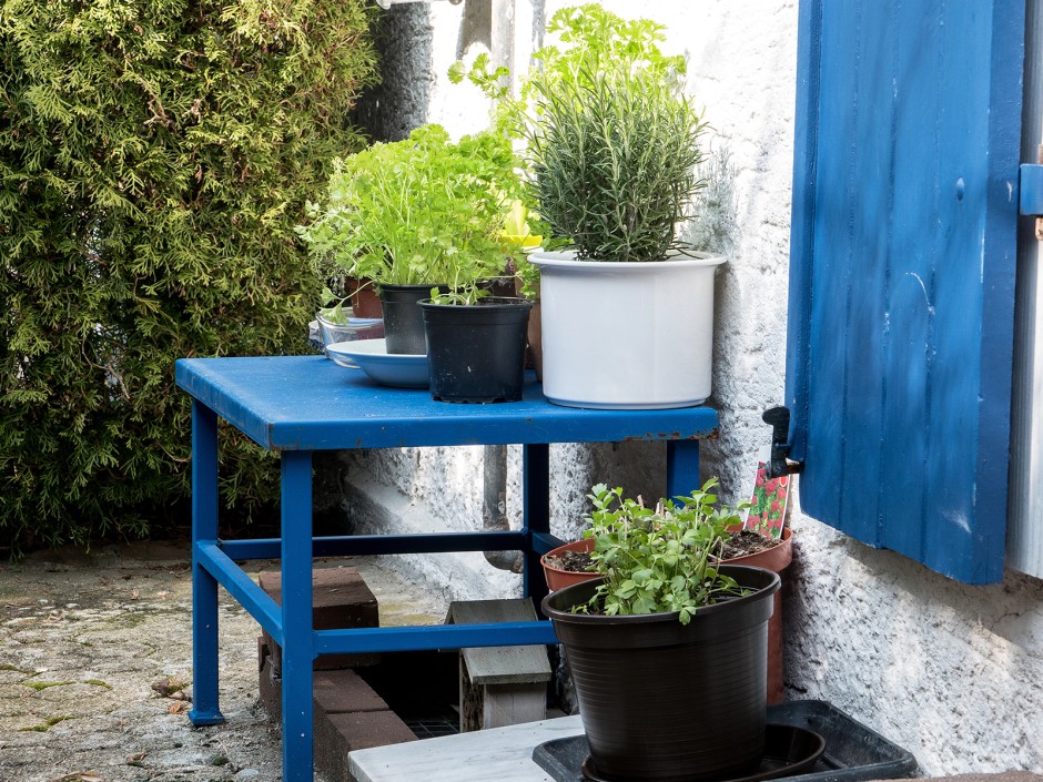 Kräuter anbauen auf Balkon & Terrasse