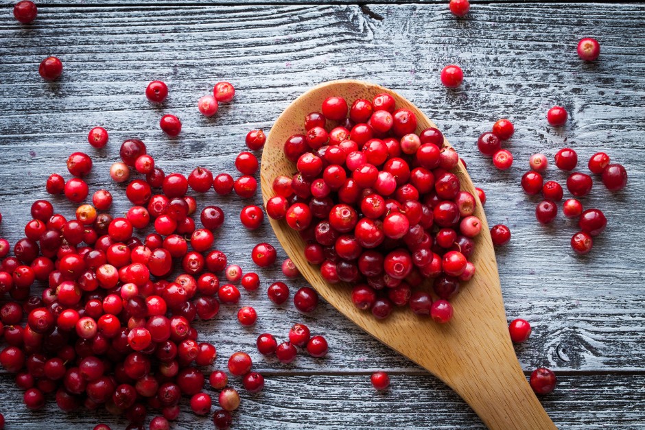 Preiselbeeren - Die kleine Powerfrucht aus dem Wald