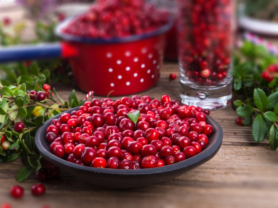Preiselbeeren - Die kleine Powerfrucht aus dem Wald