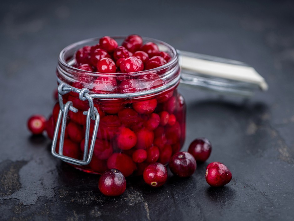 Preiselbeeren - Die kleine Powerfrucht aus dem Wald