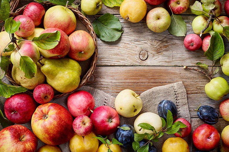 Beliebteste Obstsorten im Garten
