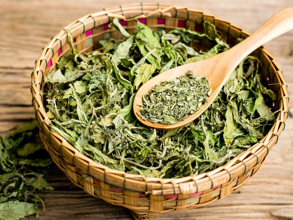 Der neue Süßstoff Stevia