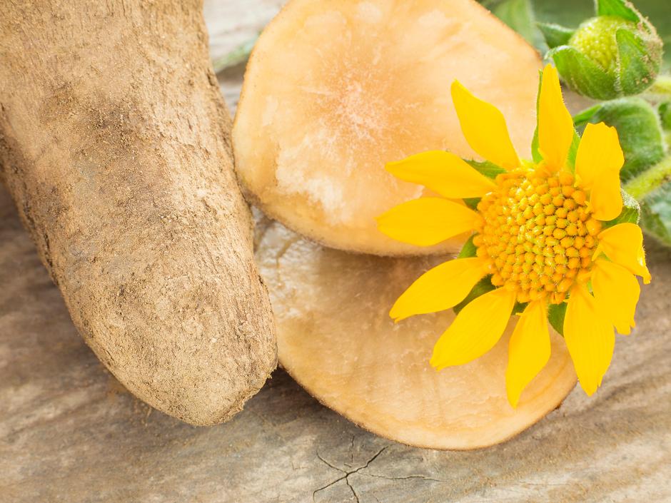 Yaconsirup, das Süssungsmittel aus den Anden