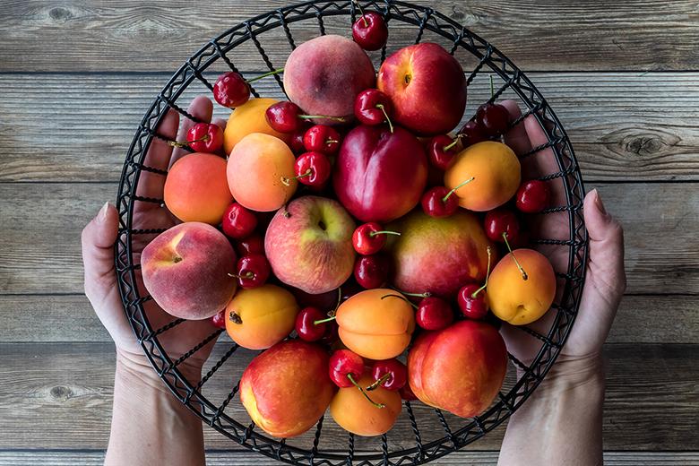 Geeignete Obstsorten für unseren Obstgarten