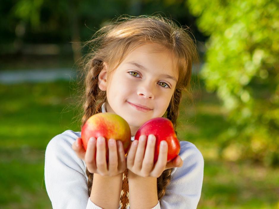 Geeignete Obstsorten für unseren Obstgarten