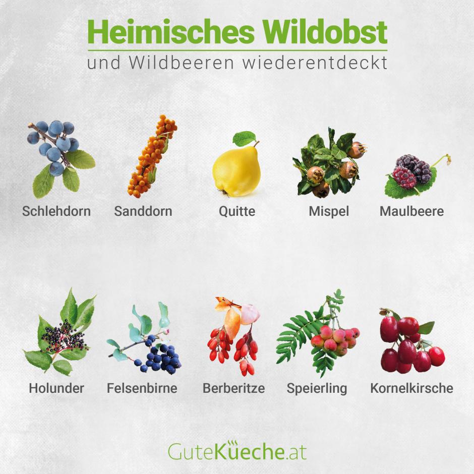 Heimisches Wildobst & Wildbeeren wiederentdeckt