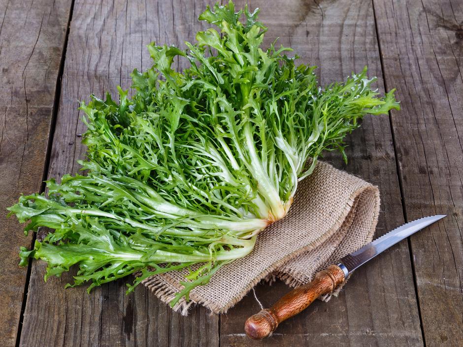 Endiviensalat