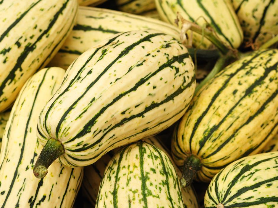 Delicata