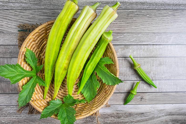 Okra, das unterschätzte Supergemüse