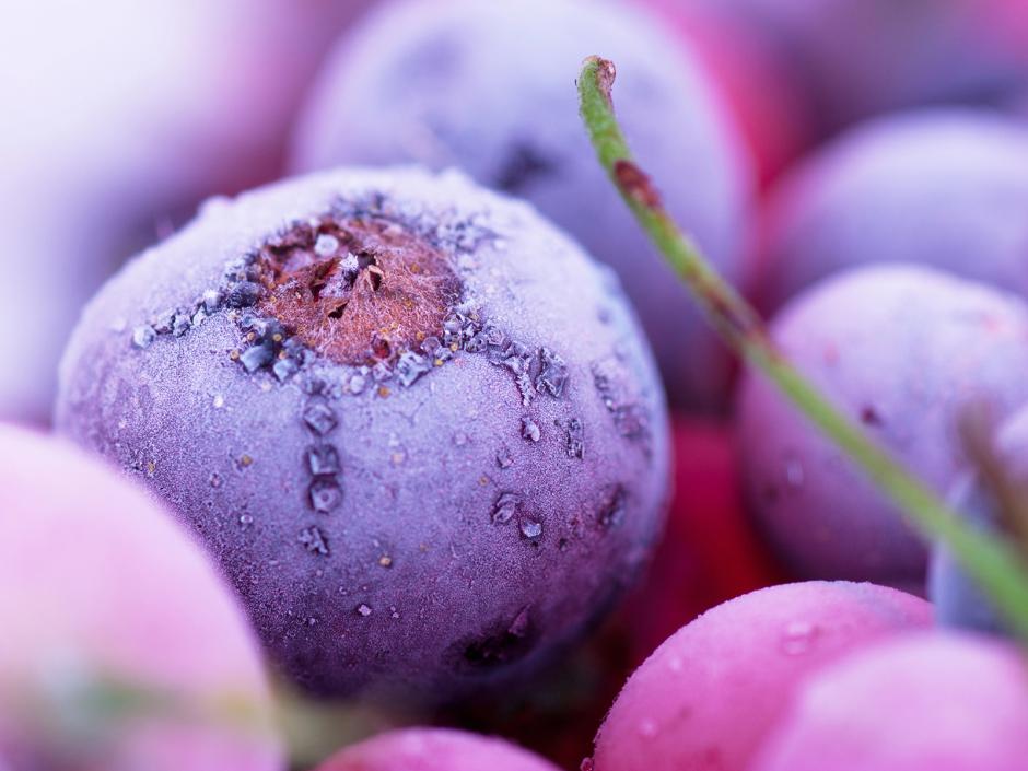 Beeren einfrieren Leitfaden